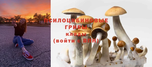 мет Белокуриха