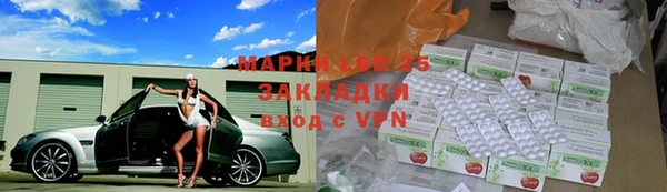 ПСИЛОЦИБИНОВЫЕ ГРИБЫ Балахна