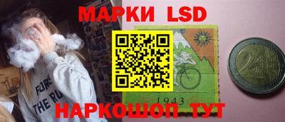 индика Аша