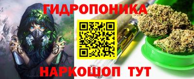 индика Аша