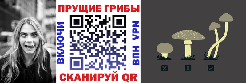 Псилоцибиновые грибы Psilocybe  Верхняя Пышма 
