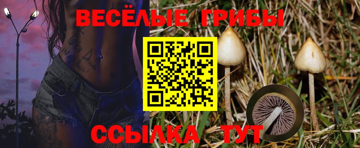 Псилоцибиновые грибы MAGIC MUSHROOMS  где найти наркотики  Верхняя Пышма  Вход с VPN 